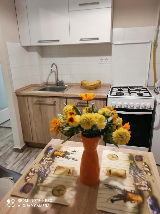 Baross Apartman Kaposvar Luaran gambar